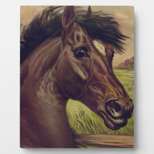 horse farm ranch ride sports western equine pet plaque