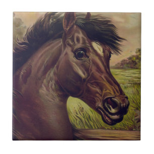 horse farm ranch ride sports western equine pet tile