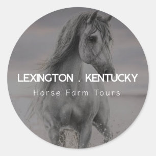 Horse Farm Tours Classic Round Sticker