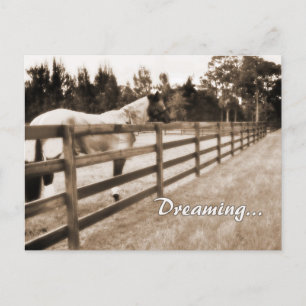 Horse fence misty blur dreaming text sepia postcard