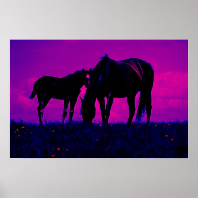 Horse & Filly Art Print (Front)