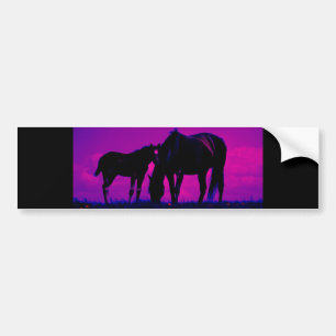 Horse & Filly Bumper Sticker