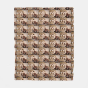 HORSE FLEECE BLANKET. BLANKET