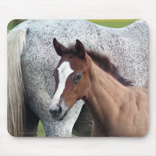 Horse Foal Art Mousepad (Front)