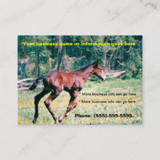 Horse Foal galloping Business Cards