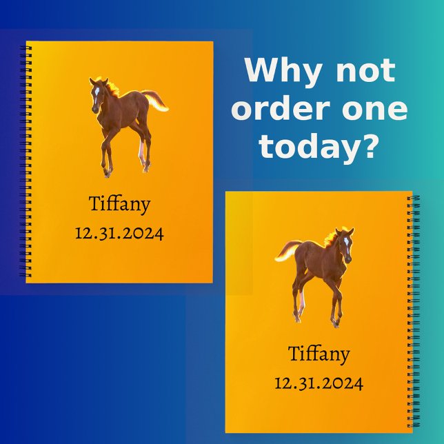 Horse Foal Golden Orange Yellow Add Your Name Date Notebook (Front & Back)