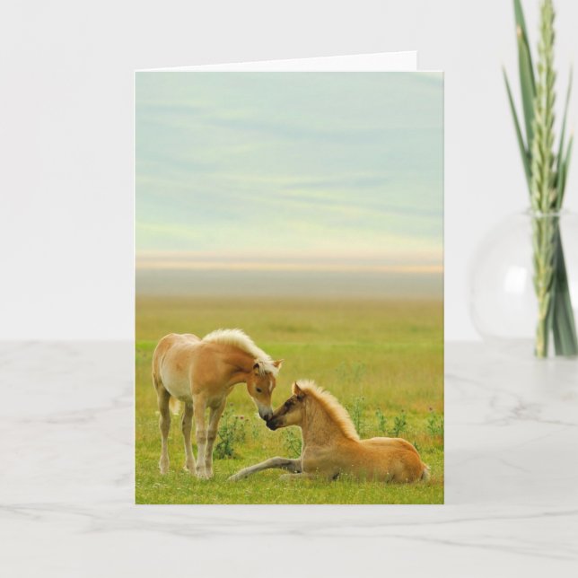 Horse Foals Card (Front)
