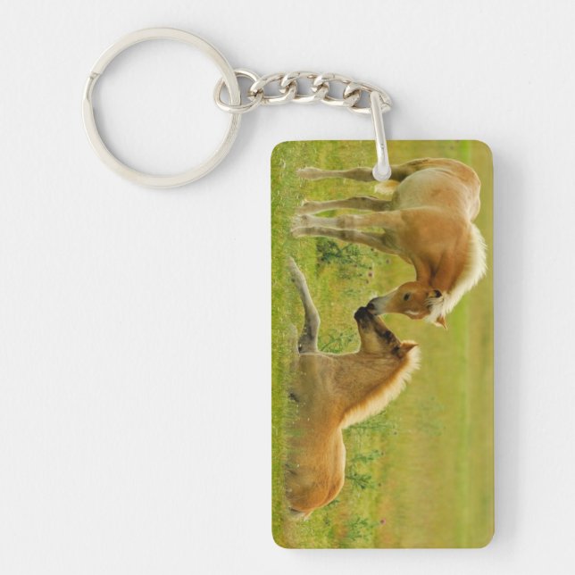 Horse Foals Key Ring (Front)