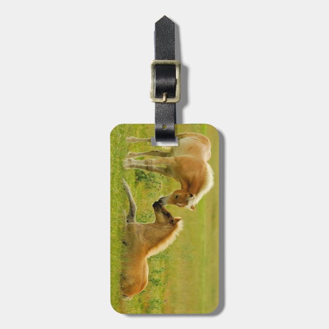Horse Foals Luggage Tag (Front Vertical)