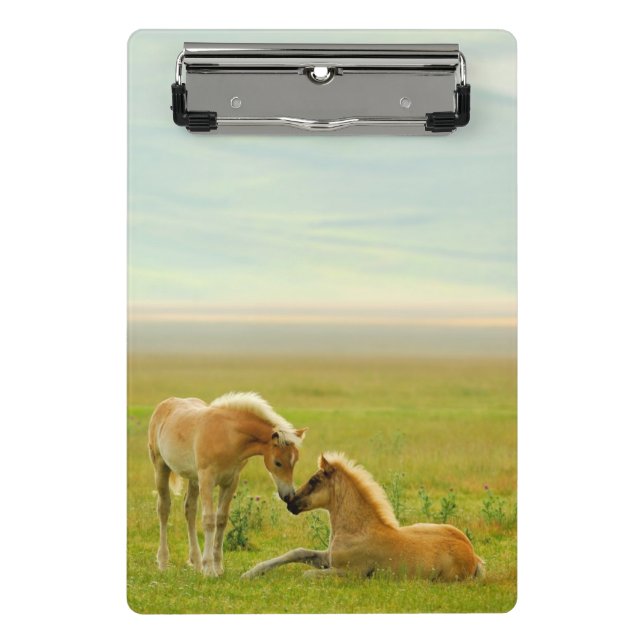 Horse Foals Mini Clipboard (Front)