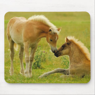 Horse Foals Mouse Pad