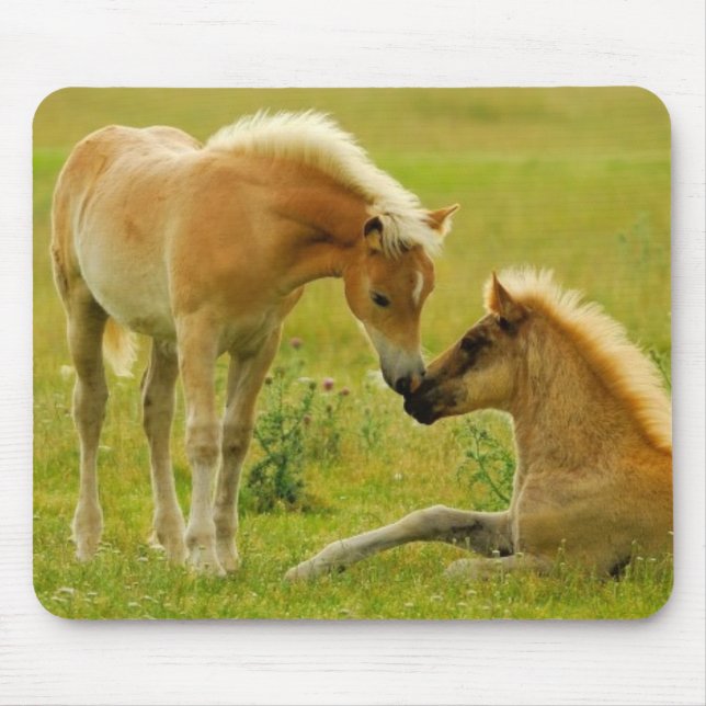 Horse Foals Mouse Pad (Front)