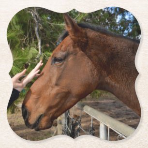 Horse Friend Forever,  Paper Coaster