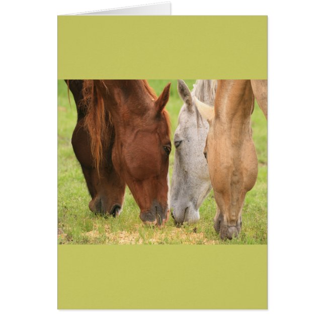 Horse friends (Front)