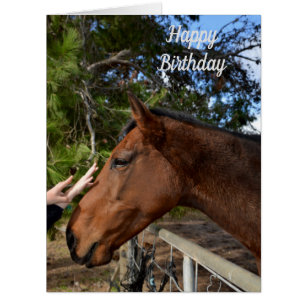 Horse Friends Forever, Large Birthday Card
