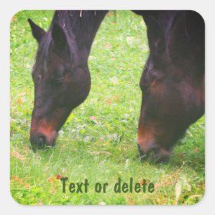 Horse Friends Grazing Personalised Square Sticker