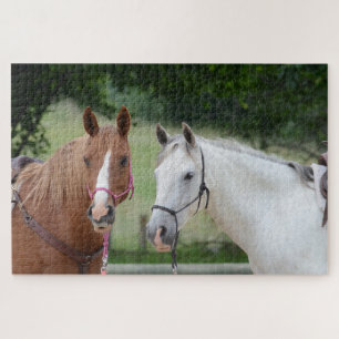 Horse Friends Jigsaw Puzzle