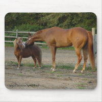 Horse Friends kisses Mousepad