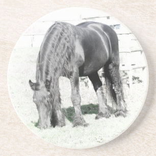 Horse Friesian Stallion Animal Nature Black white Coaster