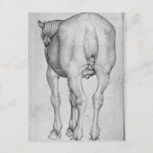 Horse, from the The Vallardi Album Postcard