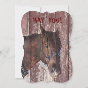 Horse FUN FUNNY looks at you birthday Card