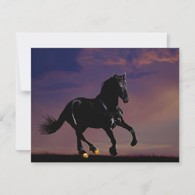 Horse galloping free (Front)