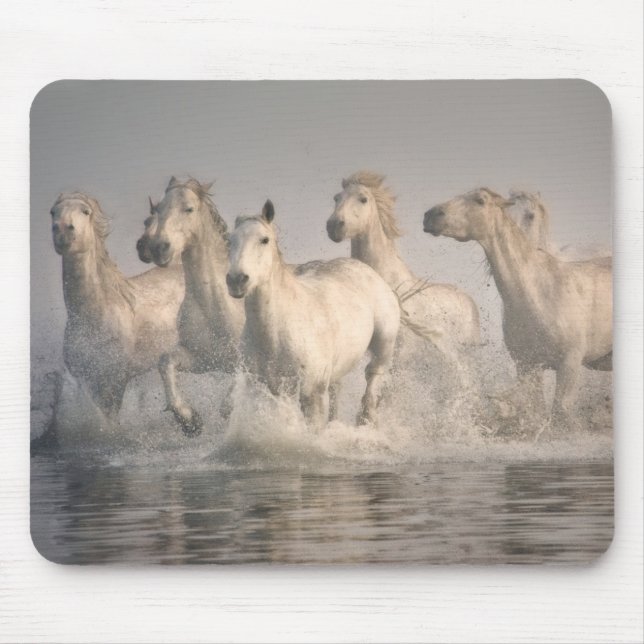 Horse Galloping in the Mediterranean Water Mouse Pad (Front)