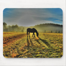 Horse Grazing at Sunrise in Misty Field Photo