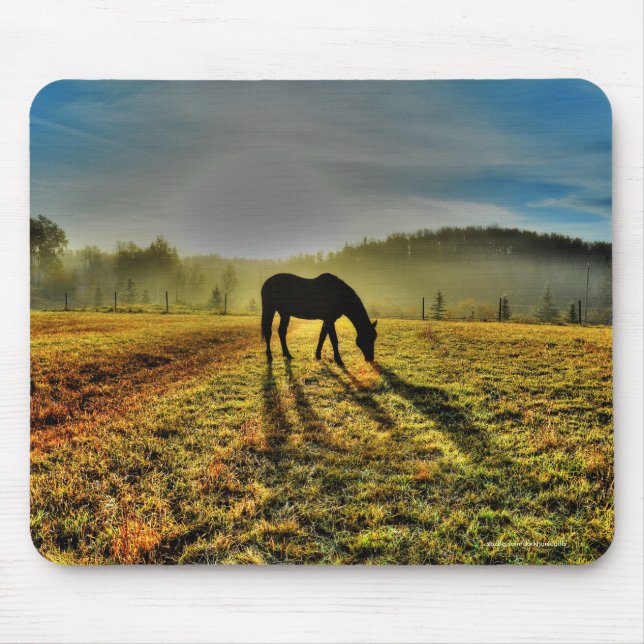 Horse Grazing at Sunrise in Misty Field Photo Mouse Pad (Front)