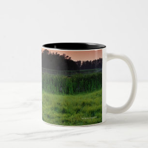Horse Grazing in Field at Sunset Near Edmonton, Two-Tone Coffee Mug