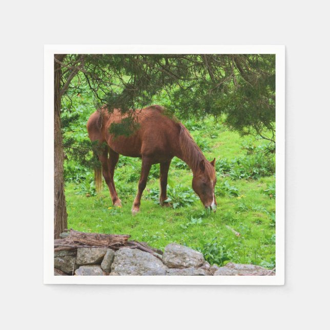 Horse Grazing In Pasture Paper Napkin (Front)
