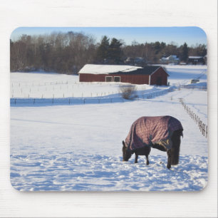 Horse grazing on a snow-covered field on Ekero 2 Mouse Pad