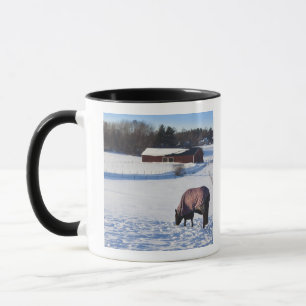 Horse grazing on a snow-covered field on Ekero 2 Mug