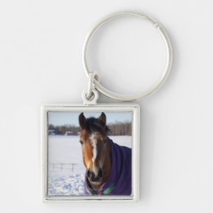 Horse grazing on a snow-covered field on Ekero Key Ring