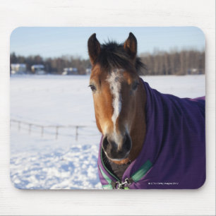 Horse grazing on a snow-covered field on Ekero Mouse Pad