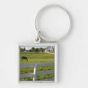 Horse grazing on farm key ring