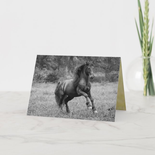 Horse Greeting Card - Fairy Tale Stallion Leaps (Front)