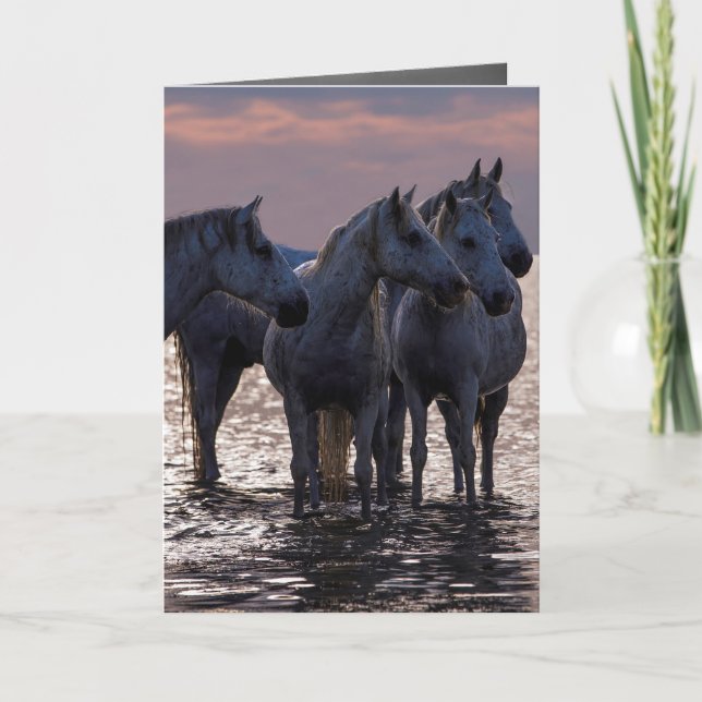 Horse Greeting Card - Four Horses at Sunset (Front)