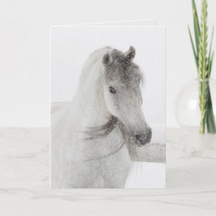Horse Greeting Card - Mischievous Snowy Mare