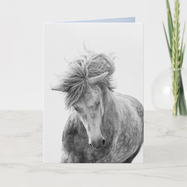 Horse Greeting Card - Young Camargue Stallion Runs (Front)