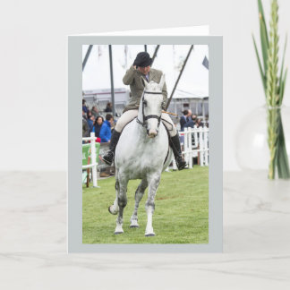 Horse Greetings Card