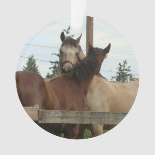 Horse Grooming Ornament