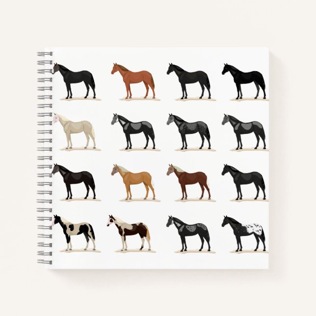 horse hair colour notebook (Front)