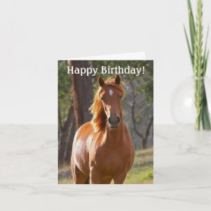 Horse Happy Birthday Card for Horse lovers