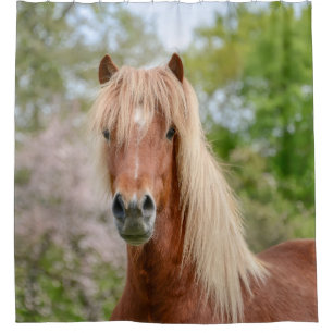 Horse Head Aegidienberger cross Icelandic and Paso Shower Curtain