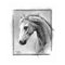 Horse head Charcoal drawing Equine art