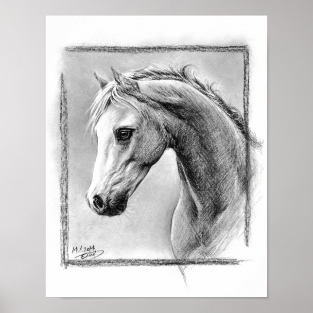 Horse head Charcoal drawing Equine art Poster (Front)