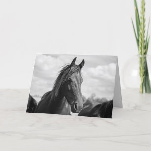 horse head greeting card