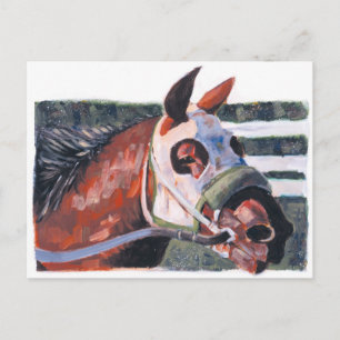 Horse Head Postcard