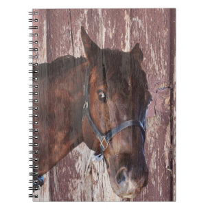 Horse Head western Look into his eyes. Notebook